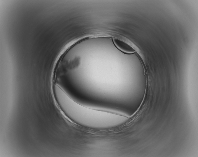 X0000114231485200910161559