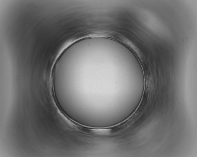 X0000114231487200910161559