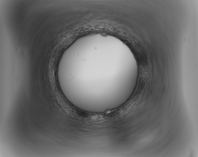X0000114231489200910161559