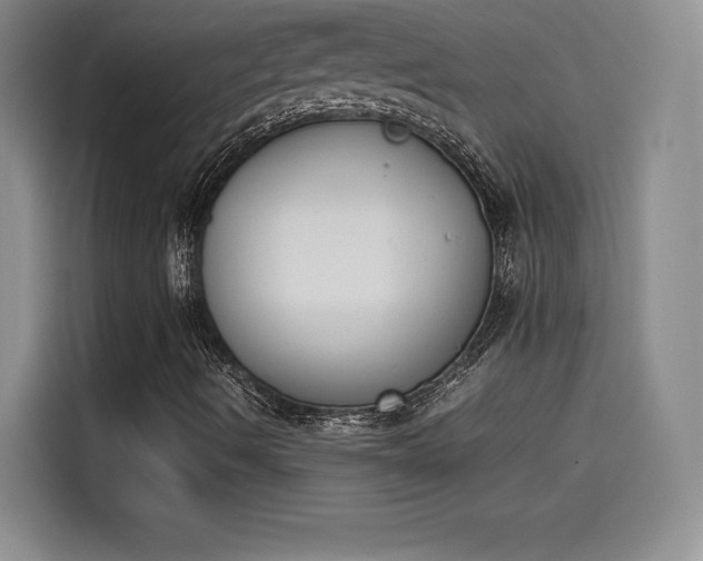 X0000114231490200910161559