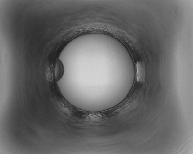 X0000114231491200910161559