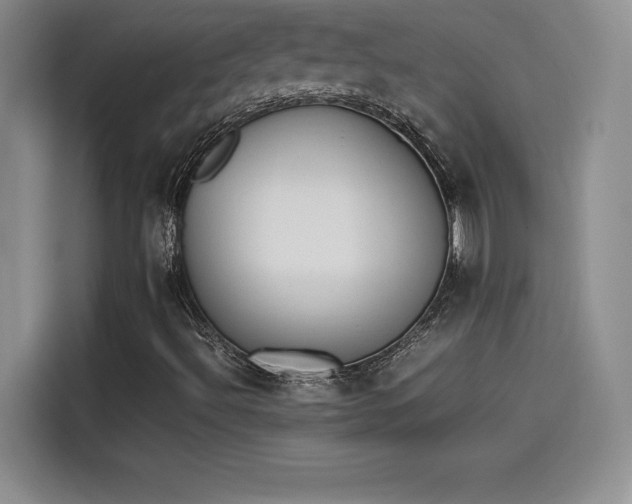 X0000114231492200910161559