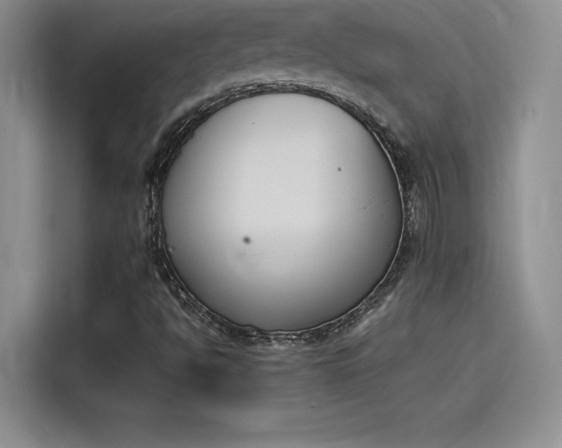 X0000114231494200910161559