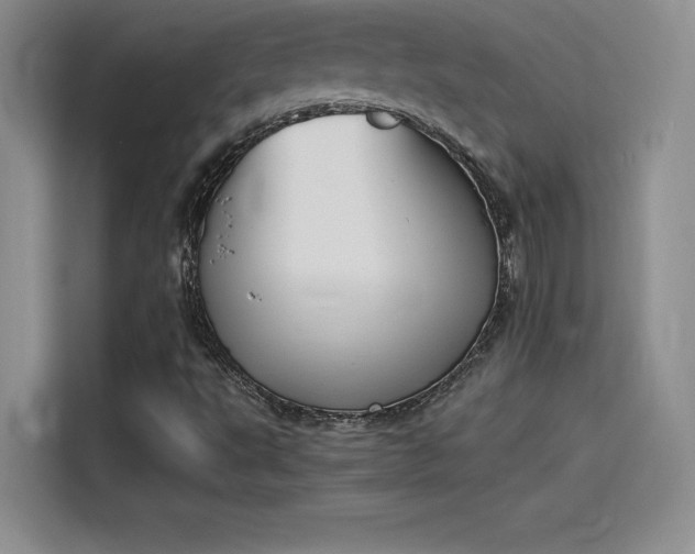 X0000114231495200910161559