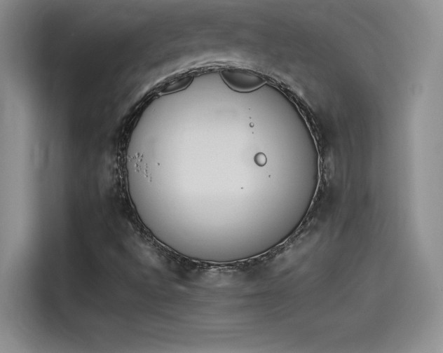 X0000114231496200910161559