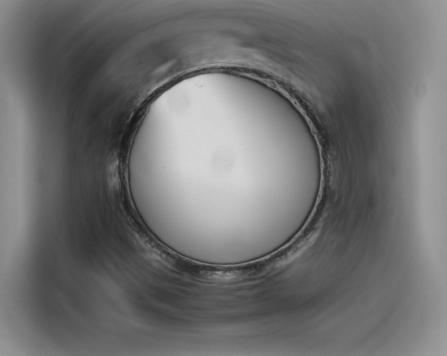 X0000114231497200910161559