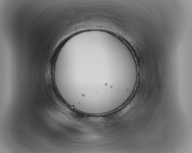X0000114231498200910161559