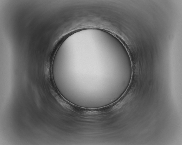 X0000114231499200910161559