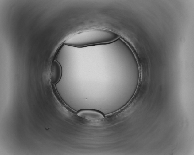 X0000114231500200910161559