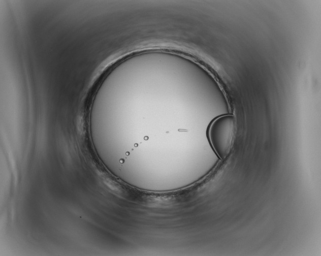 X0000114231501200910161559