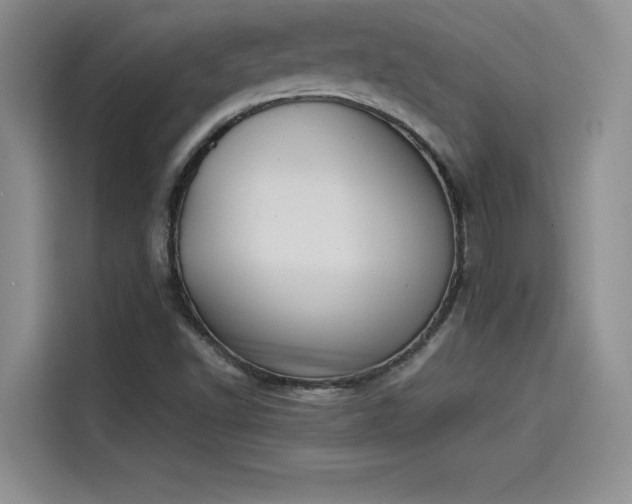 X0000114231502200910161559