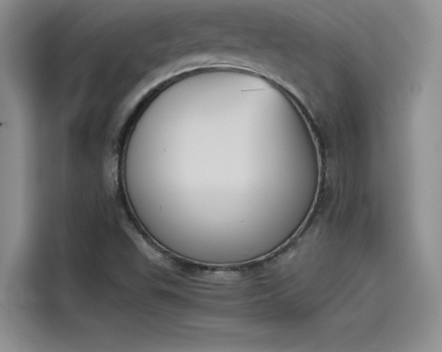 X0000114231503200910161559