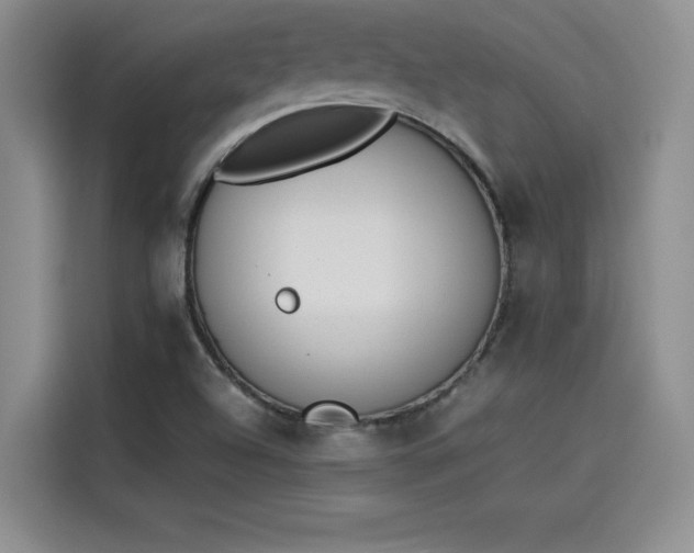 X0000114231504200910161559