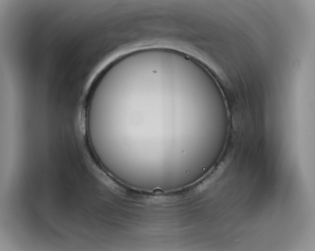 X0000114231510200910161559