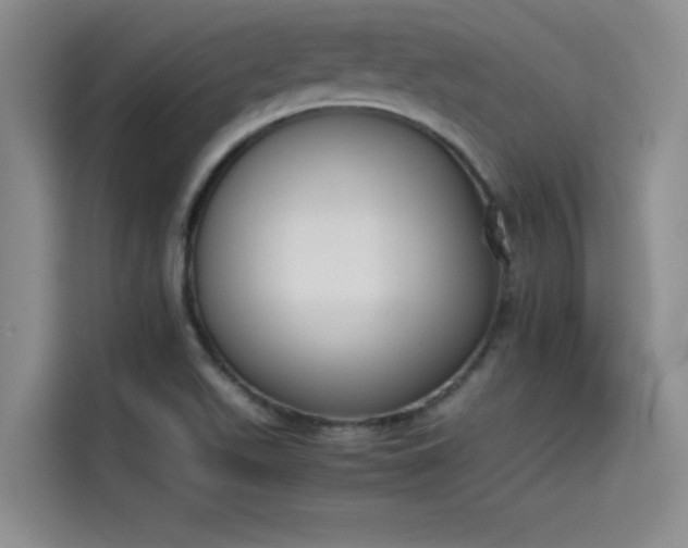 X0000114231511200910161559