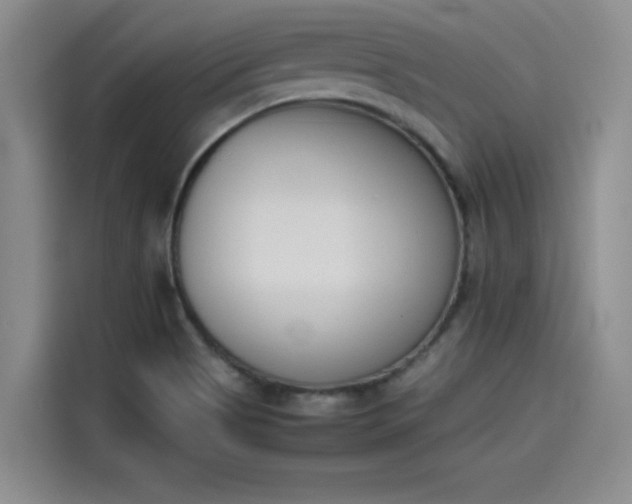 X0000114231513200910161559