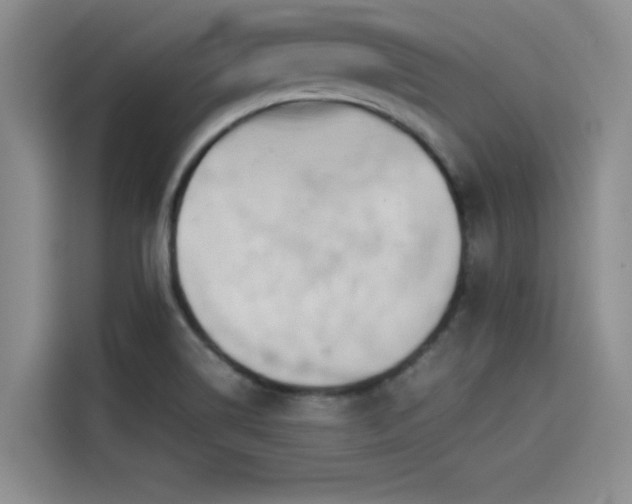 X0000114231514200910161559