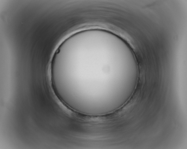 X0000114231516200910161559