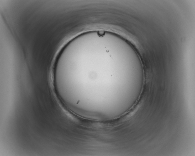 X0000114231517200910161559