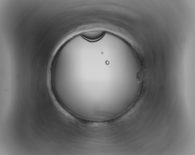 X0000114231518200910161559
