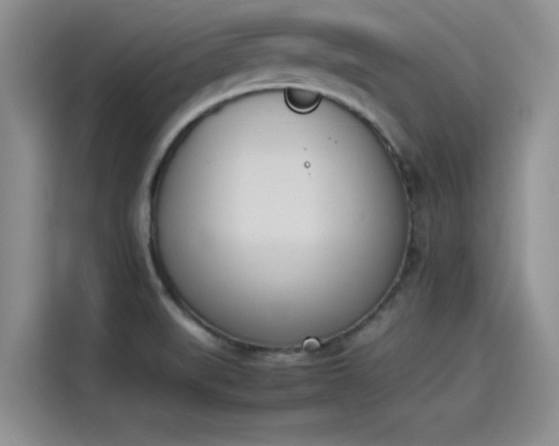 X0000114231519200910161559