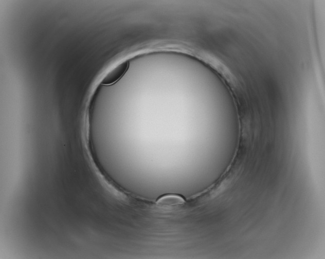 X0000114231520200910161559