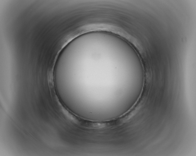 X0000114231521200910161559