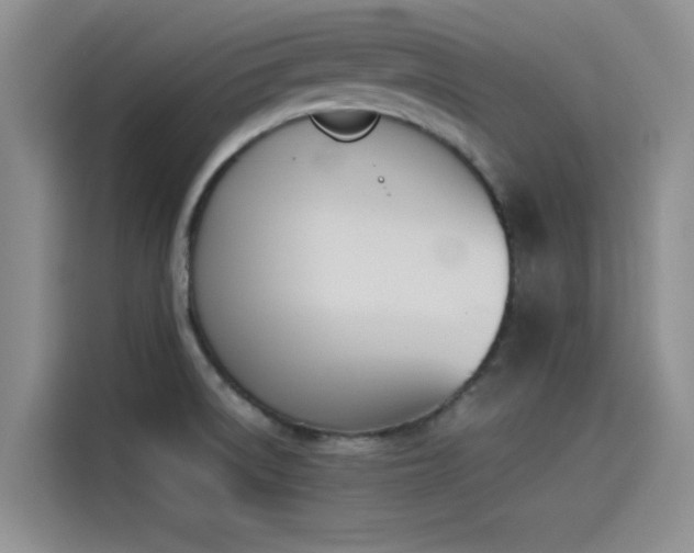 X0000114231522200910161559