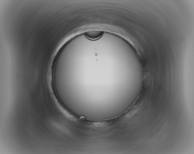 X0000114231523200910161559