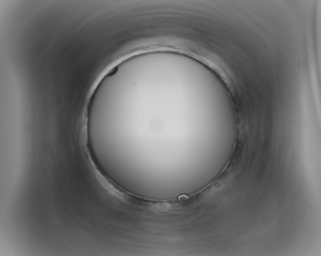 X0000114231524200910161559