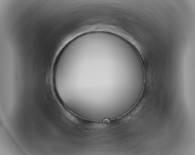 X0000114231525200910161559