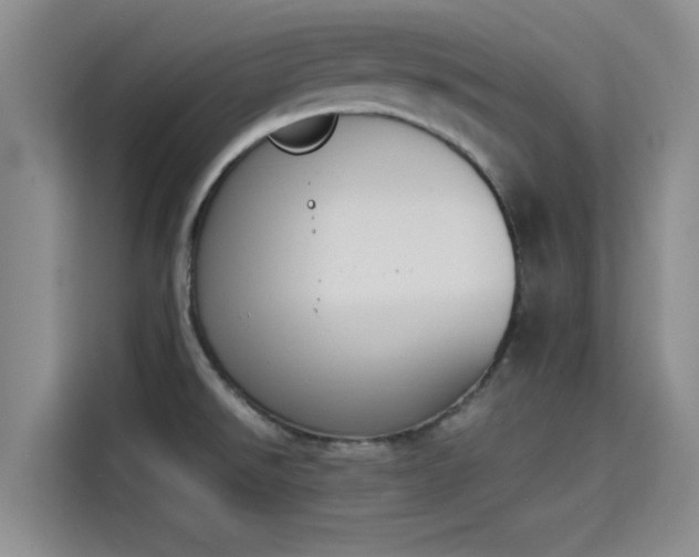 X0000114231526200910161559