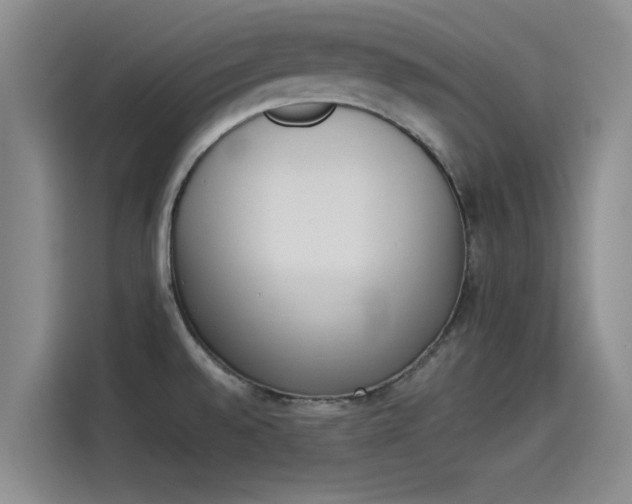 X0000114231528200910161559