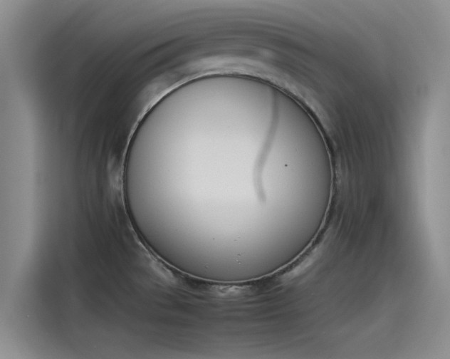 X0000114231529200910161559