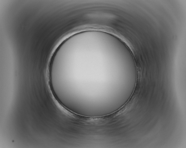 X0000114231531200910161559