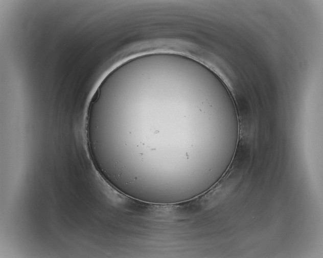 X0000114231532200910161559