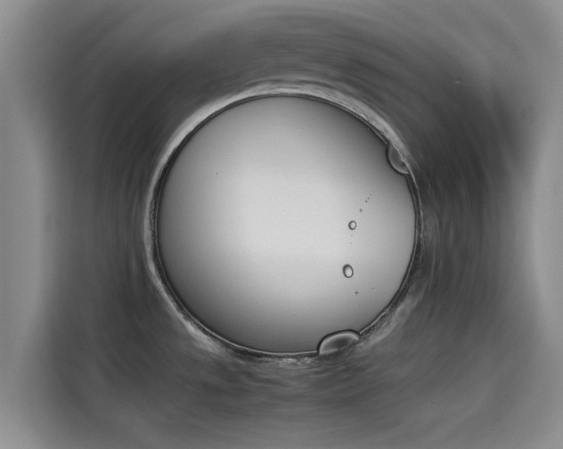 X0000114231533200910161559