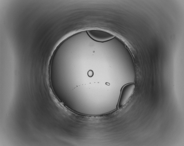 X0000114231534200910161559