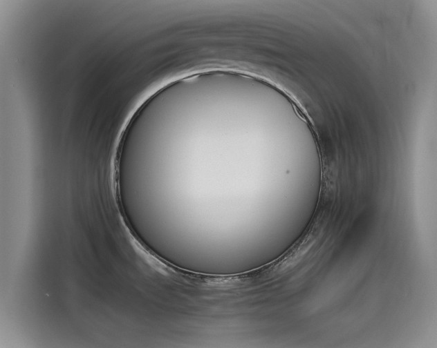 X0000114231535200910161559