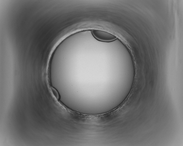 X0000114231536200910161559