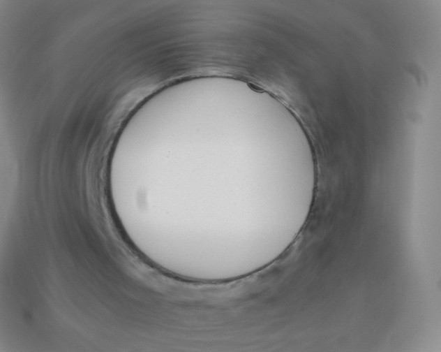 X0000114230001200910231513