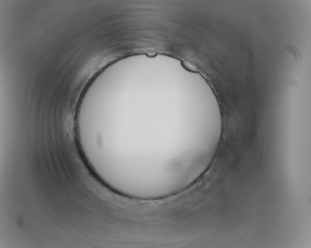 X0000114230002200910231513