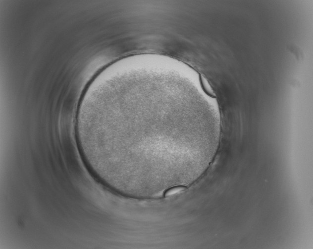 X0000114230003200910231513