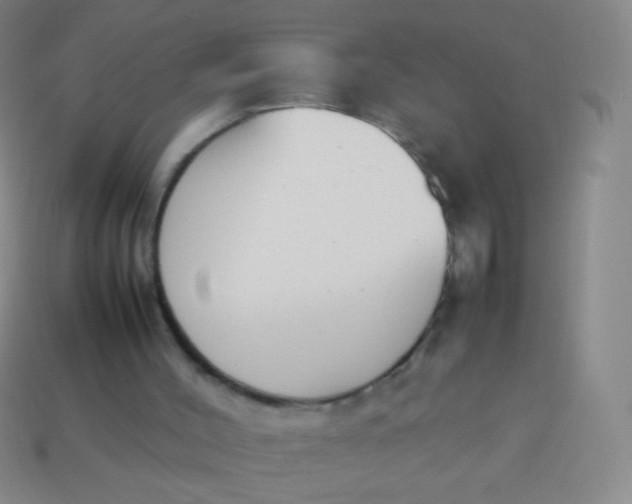 X0000114230004200910231513
