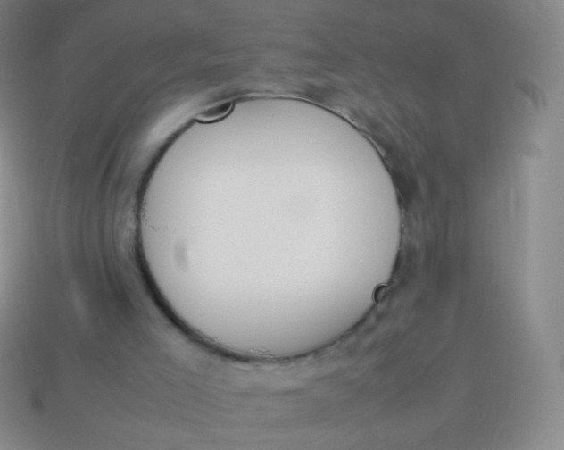 X0000114230005200910231513