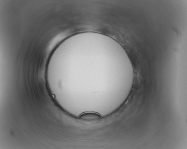 X0000114230006200910231513