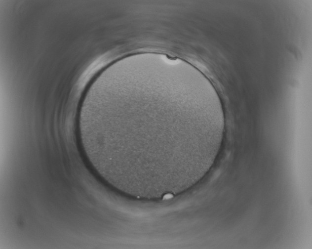 X0000114230007200910231513