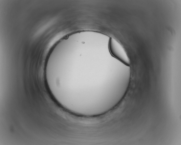 X0000114230008200910231513