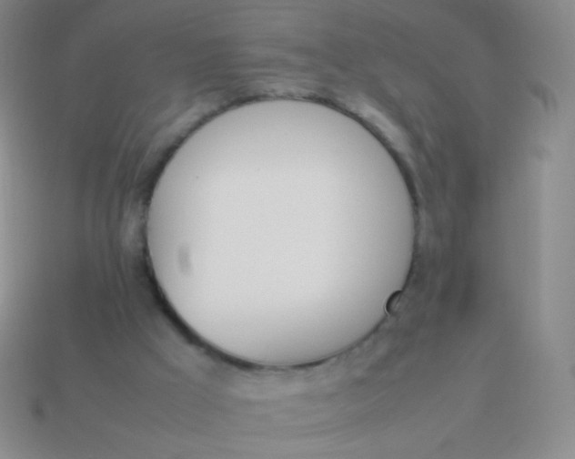 X0000114230009200910231513