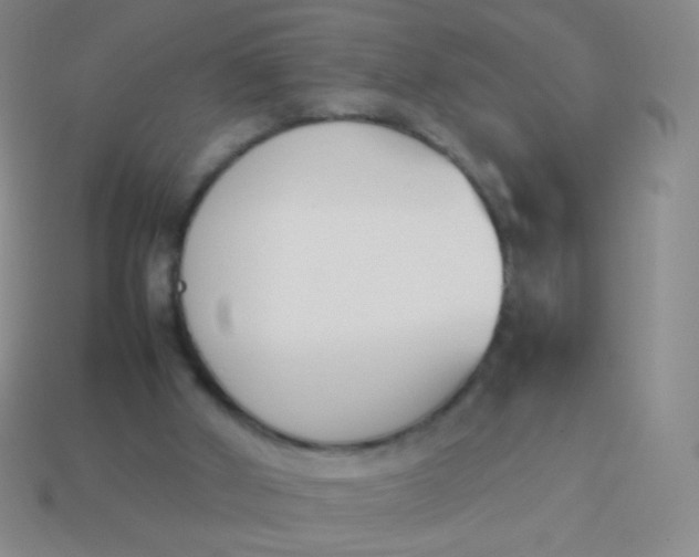 X0000114230010200910231513